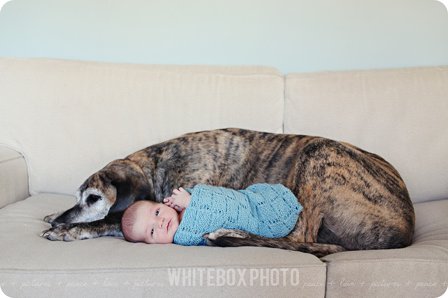 wesley_15_greensboro_newborn_photographer.jpg