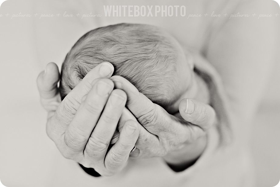 wesley_36_greensboro_newborn_photographer.jpg