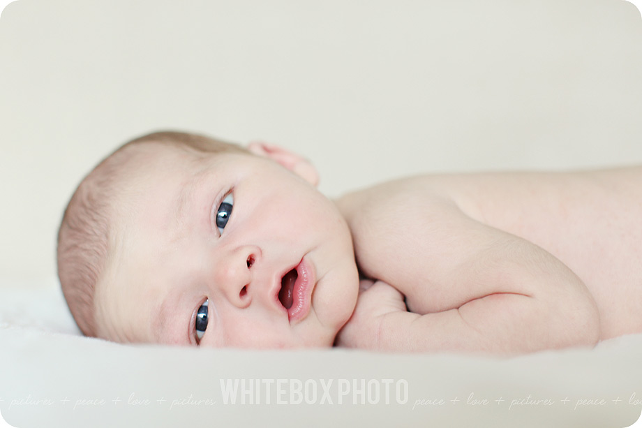 wesley_47_greensboro_newborn_photographer.jpg