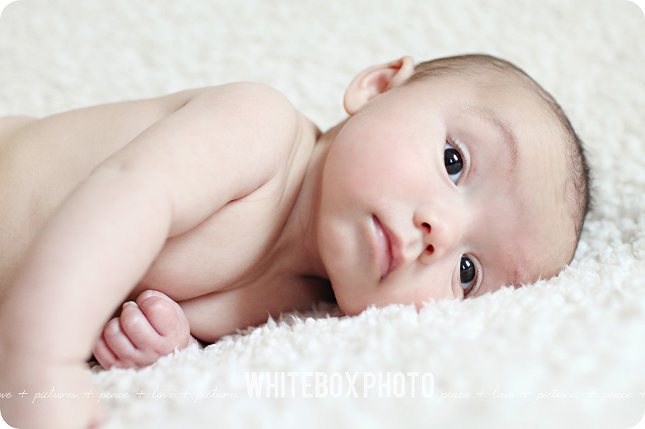 oliver_45_greensboro_newborn_photographer.jpg