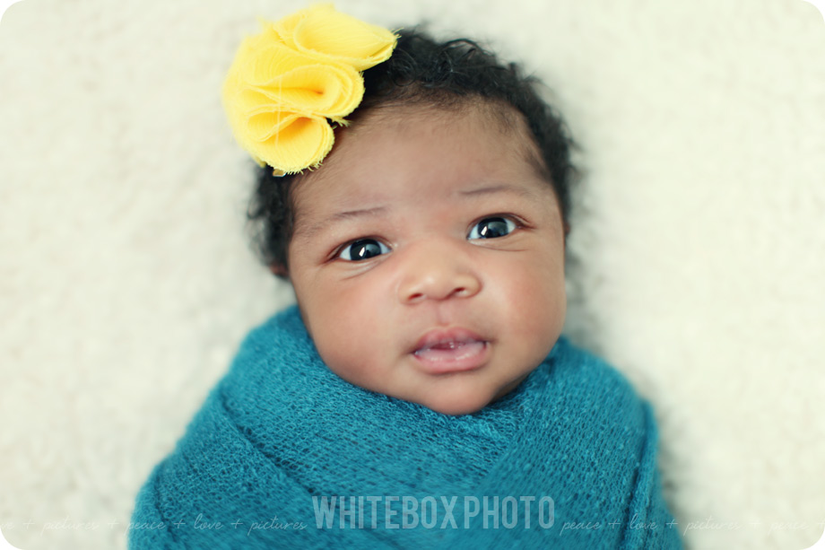 abby_newborn_04_greensboro_newborn_photographer.jpg