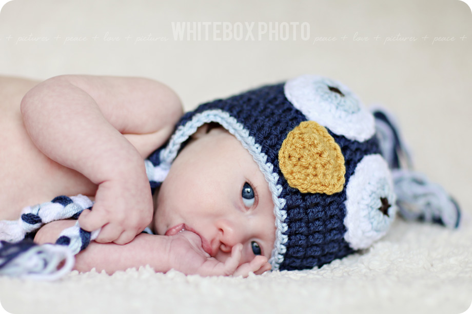 sawyer_2012_03_bw_greensboro_newborn_photographer.jpg