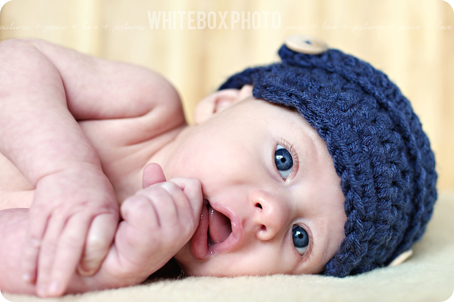 sawyer_2012_08_bw_greensboro_newborn_photographer.jpg