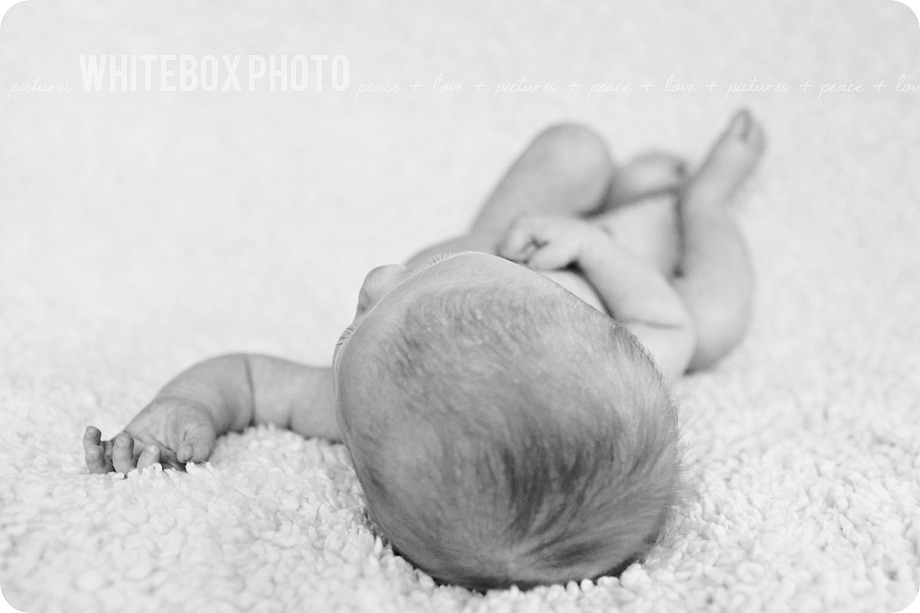 sawyer_2012_20_bw_greensboro_newborn_photographer.jpg