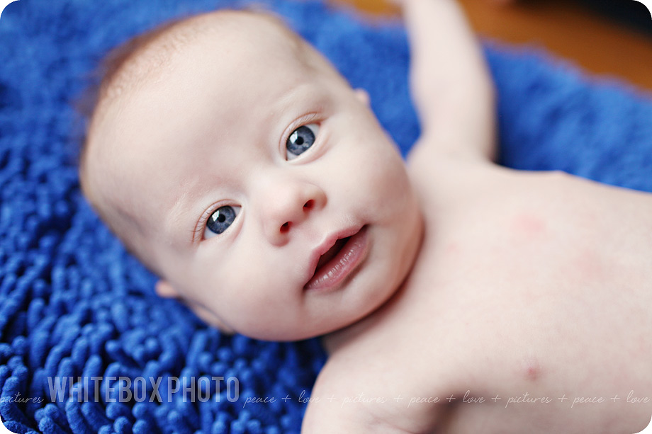 sawyer_2012_30_bw_greensboro_newborn_photographer.jpg