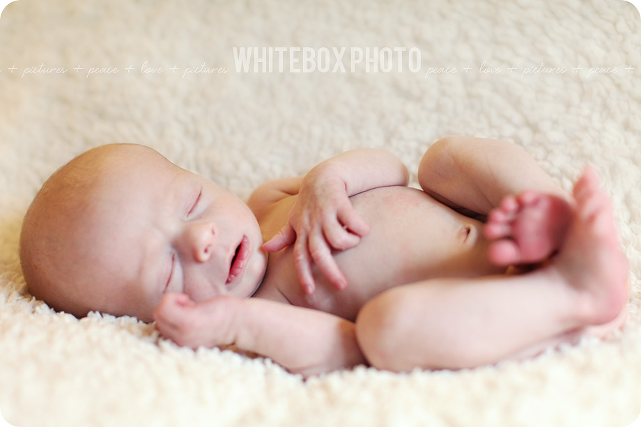 thomas_newborn_01_carrboro_newborn_photographer.jpg