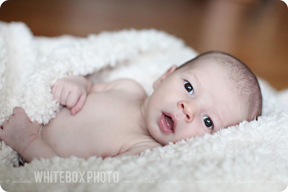 kwee-veen_newborn_59_greensboro_newborn_photographer.jpg