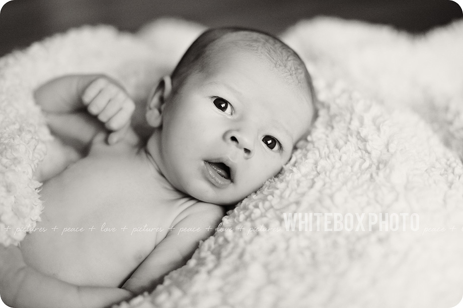 kwee-veen_newborn_60_greensboro_newborn_photographer.jpg