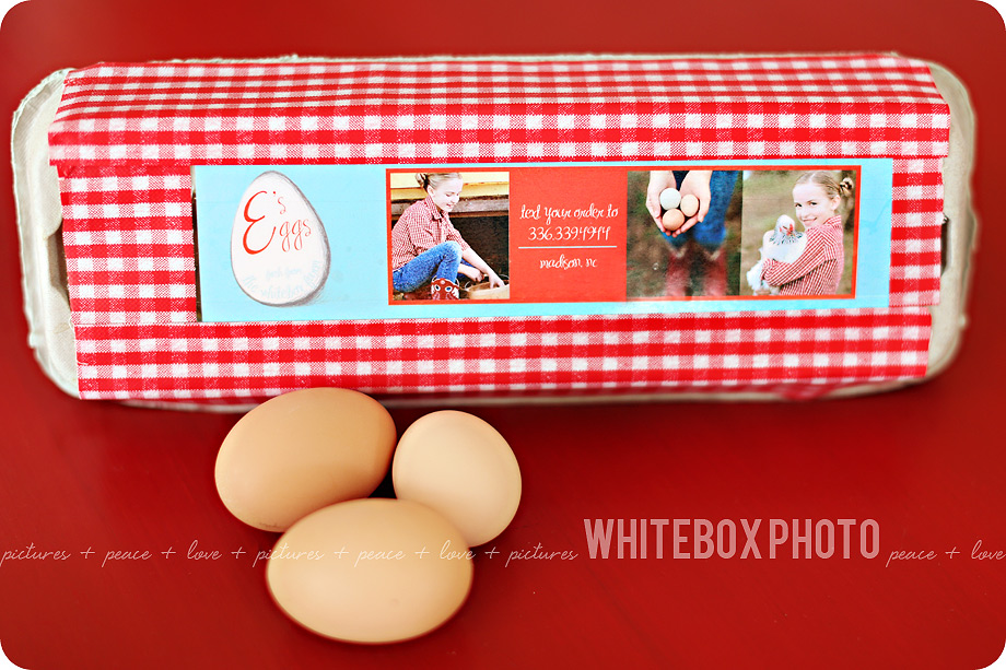 e's-eggs_promo_002_organic_free-range-eggs_whitebox-farm.jpg