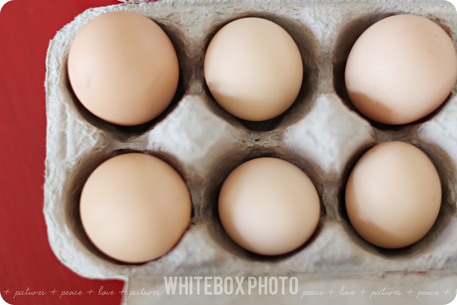 e's-eggs_promo_003_organic_free-range-eggs_whitebox-farm.jpg