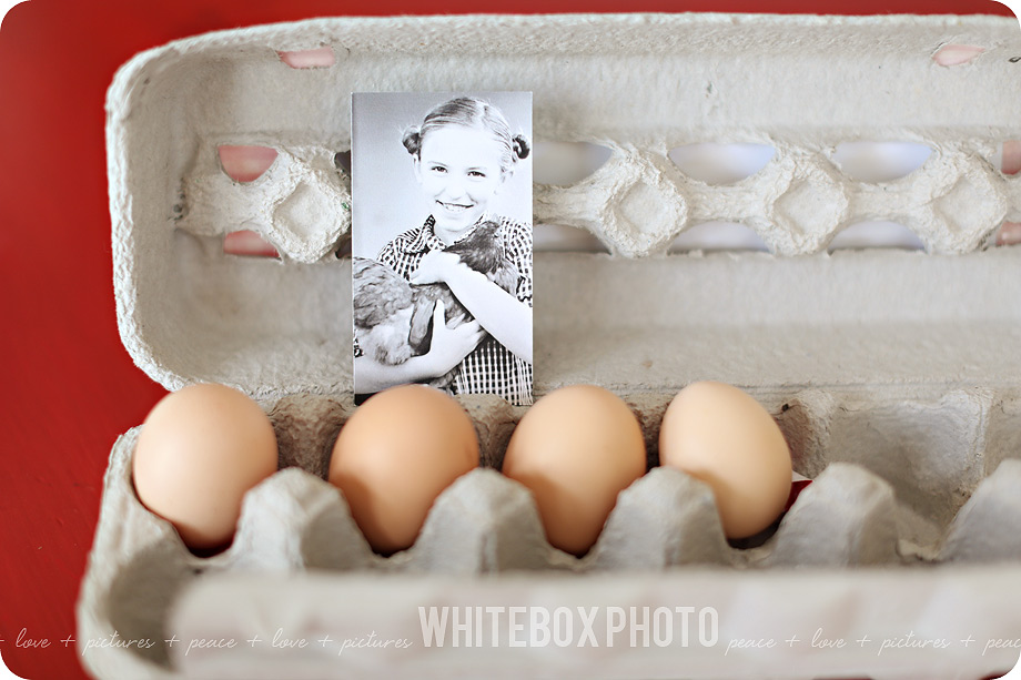 e's-eggs_promo_004_organic_free-range-eggs_whitebox-farm.jpg