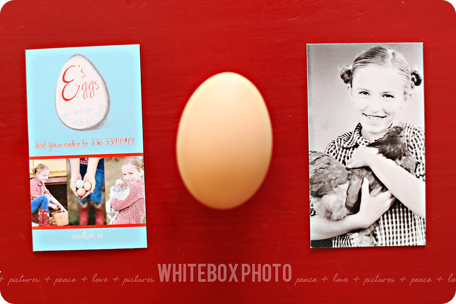 e's-eggs_promo_005_organic_free-range-eggs_whitebox-farm.jpg