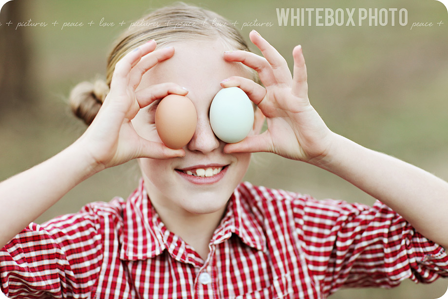 e's-eggs_promo_006_organic_free-range-eggs_whitebox-farm.jpg