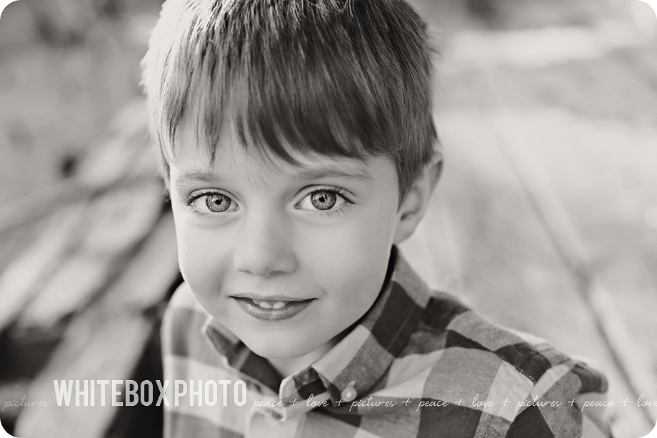 the brock 2016 family session at the whitebox photo farm.