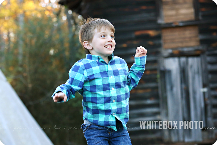 the brock 2016 family session at the whitebox photo farm.