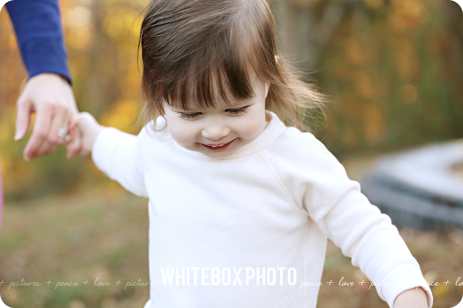 the brock 2016 family session at the whitebox photo farm.