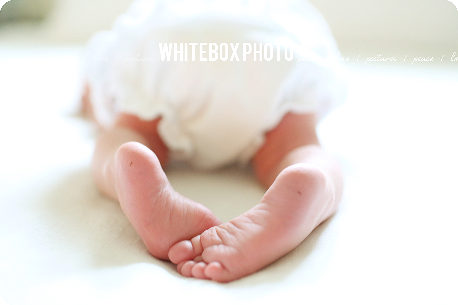 emaline's newborn session in southern pines by whitebox photo. 
