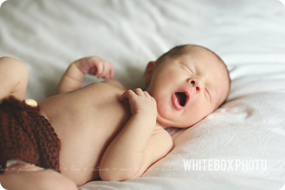 william clark's newborn photo session in Raleigh, Nc by whitebox photo.