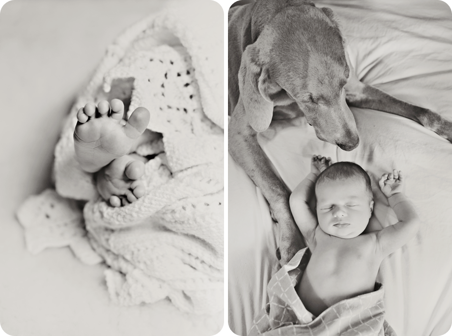 william clark's newborn photo session in Raleigh, Nc by whitebox photo.