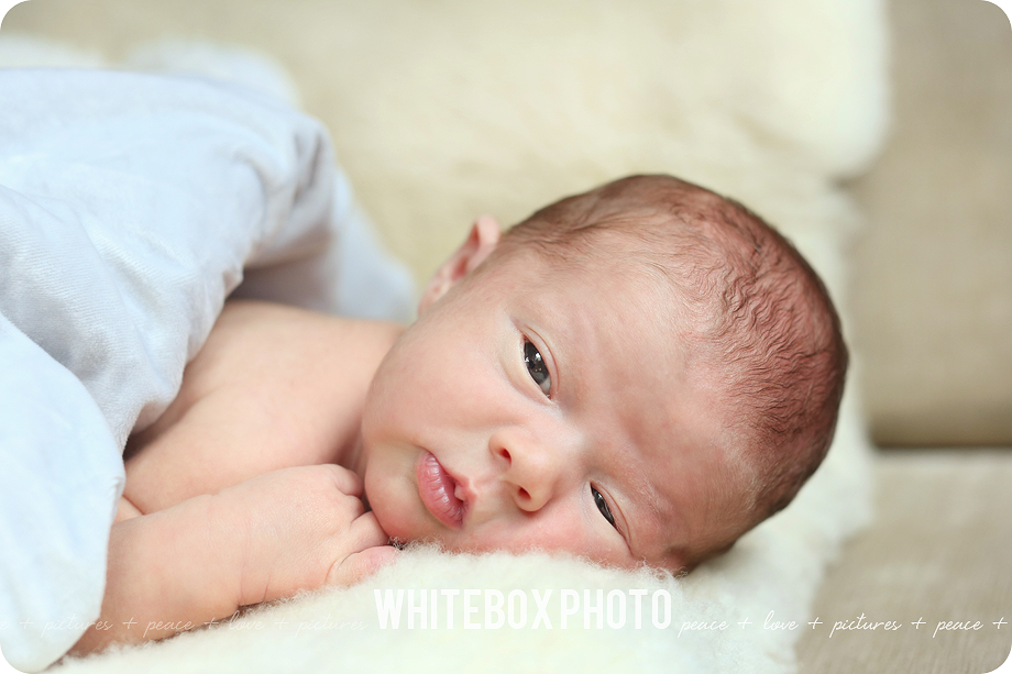 william clark's newborn photo session in Raleigh, Nc by whitebox photo.