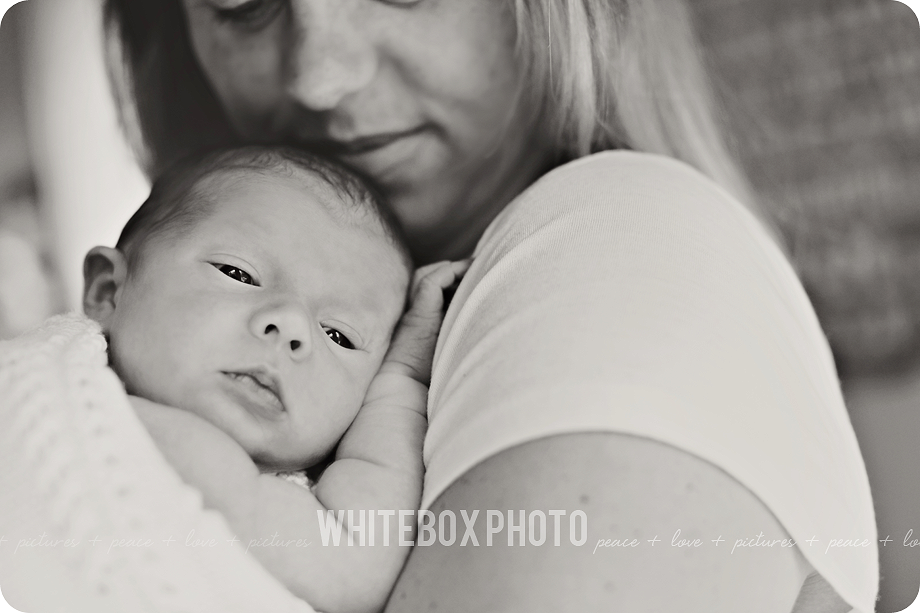 william clark's newborn photo session in Raleigh, Nc by whitebox photo.