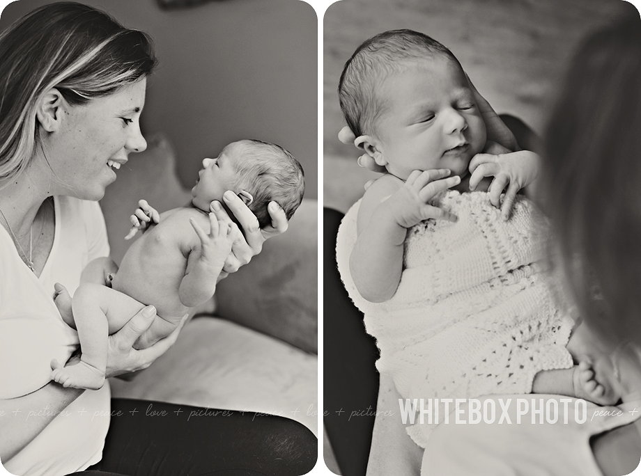 william clark's newborn photo session in Raleigh, Nc by whitebox photo.