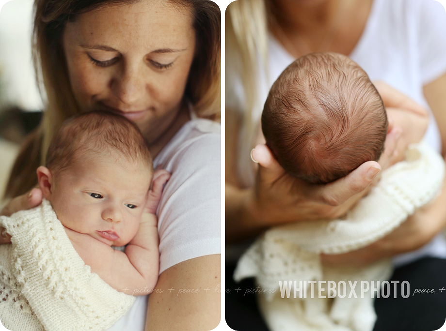 william clark's newborn photo session in Raleigh, Nc by whitebox photo.