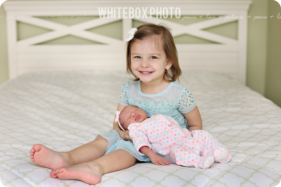 emmerson's newborn session in raleigh, nc by whitebox photo.