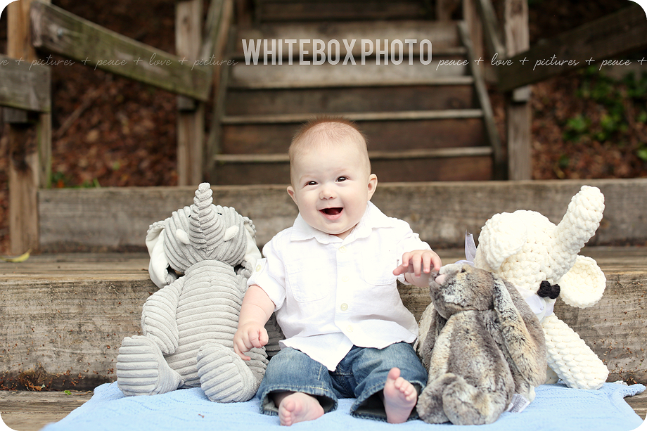 will's 6 month photo session in raleigh area by whitebox photo. 