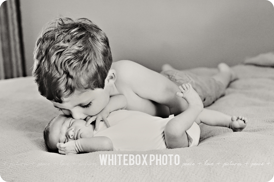 cousin william's newborn session in their home by whitebox photo 2017.