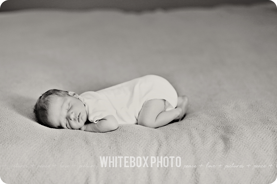 cousin william's newborn session in their home by whitebox photo 2017.