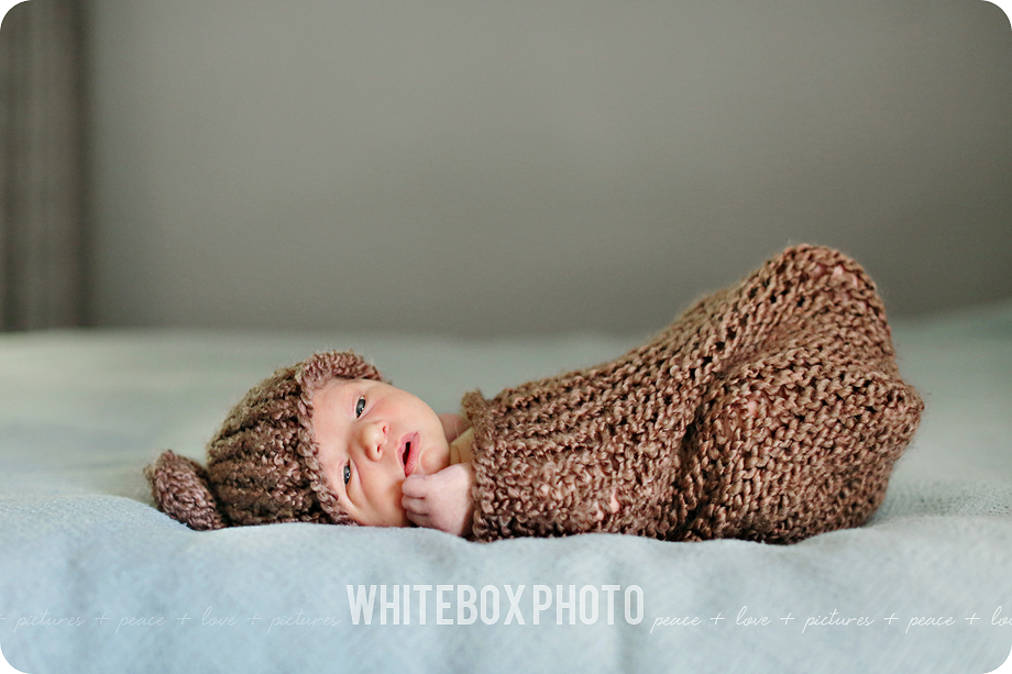 cousin william's newborn session in their home by whitebox photo 2017.