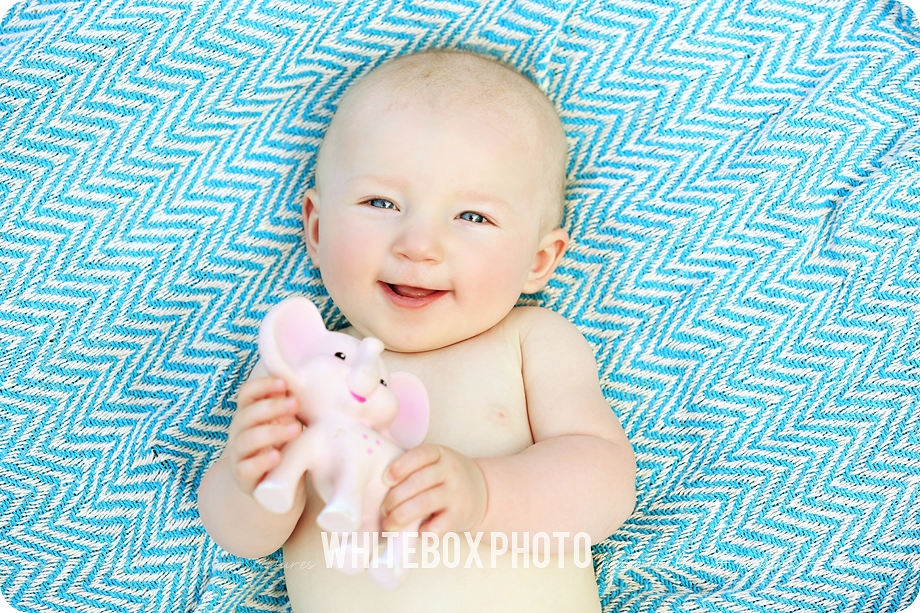 collins 6 month photo session at the whitebox photo farm in 2017.