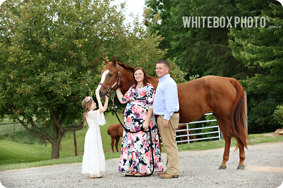 the sparks family/maternity session at horse farm by whitebox photo 2017.