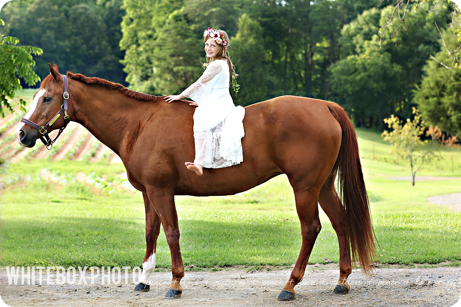 the sparks family/maternity session at horse farm by whitebox photo 2017.